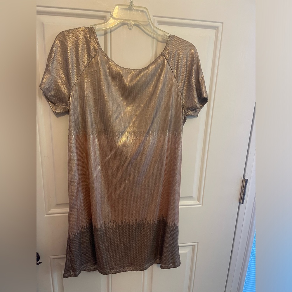 Free People sequin dress